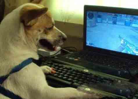 月入1000的兼职网上就可以实现 月入1000的兼职网上就可以实现